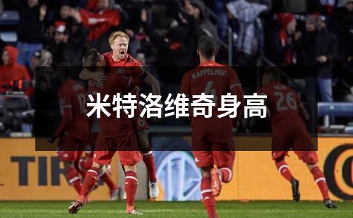 米特洛维奇身高