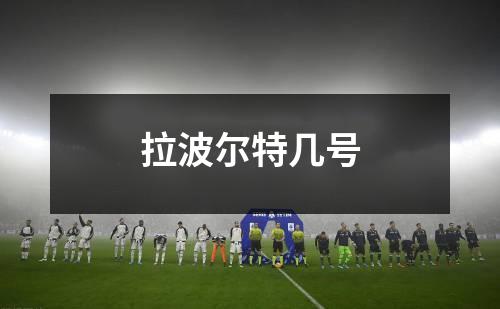 拉波尔特几号