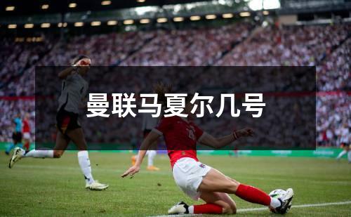曼联马夏尔几号