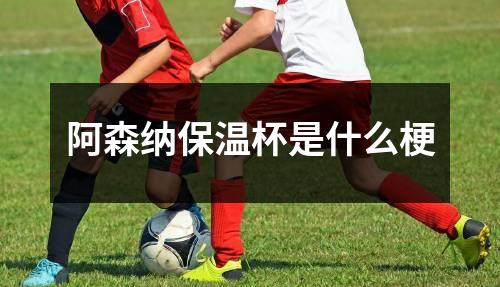 阿森纳保温杯是什么梗