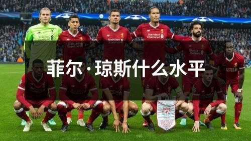 菲尔·琼斯什么水平