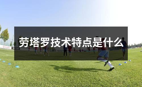 劳塔罗技术特点是什么