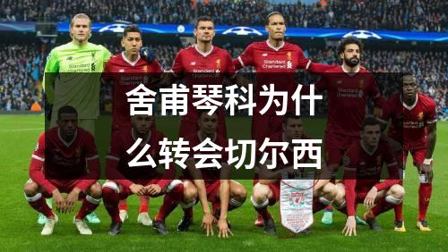 舍甫琴科为什么转会切尔西