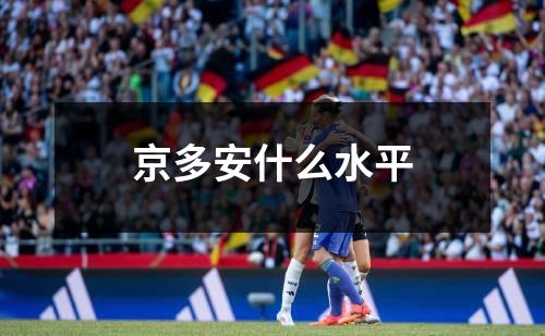 京多安什么水平
