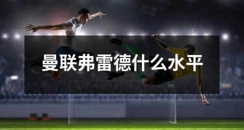曼联弗雷德什么水平