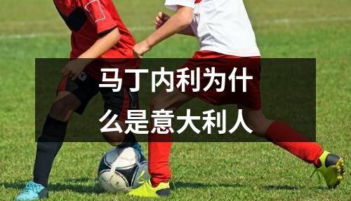马丁内利为什么是意大利人