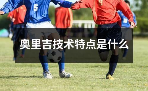 奥里吉技术特点是什么