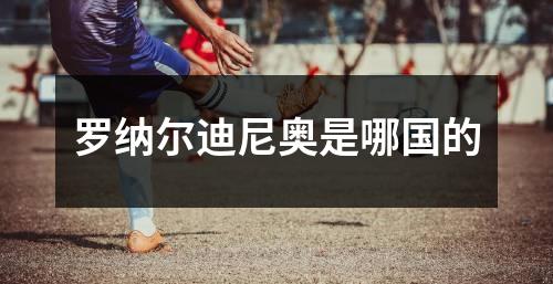 罗纳尔迪尼奥是哪国的