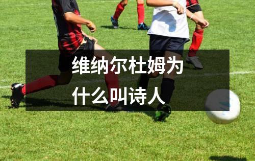 维纳尔杜姆为什么叫诗人