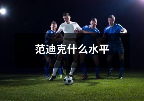 范迪克什么水平