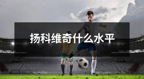 扬科维奇什么水平