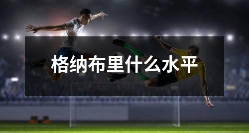 格纳布里什么水平
