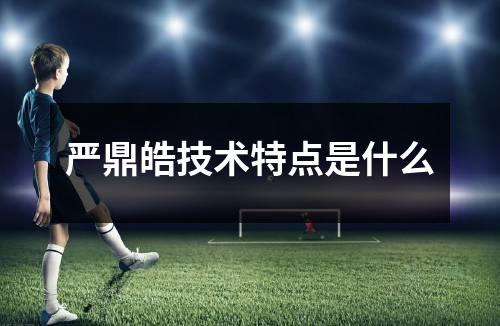 严鼎皓技术特点是什么