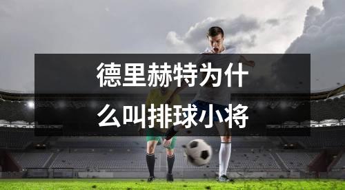 德里赫特为什么叫排球小将