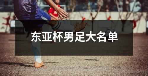 东亚杯男足大名单