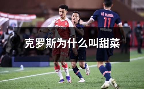 克罗斯为什么叫甜菜