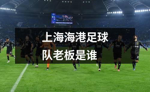 上海海港足球队老板是谁