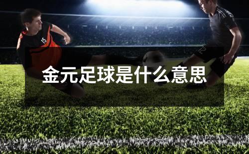 金元足球是什么意思