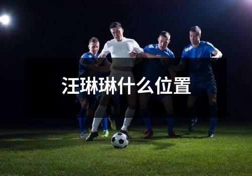 汪琳琳什么位置