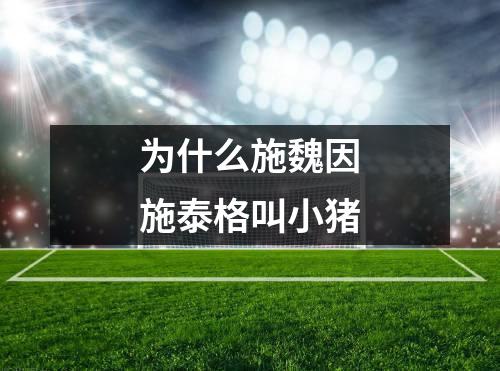 为什么施魏因施泰格叫小猪