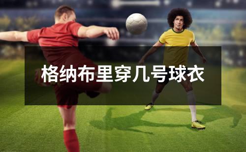 格纳布里穿几号球衣