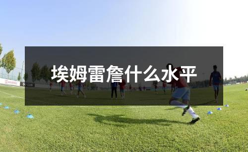 埃姆雷詹什么水平