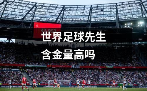 世界足球先生含金量高吗