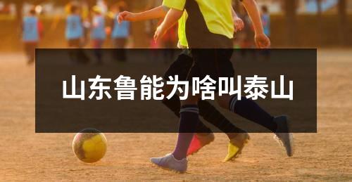 山东鲁能为啥叫泰山