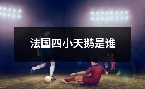 法国四小天鹅是谁