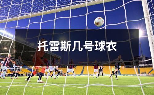 托雷斯几号球衣