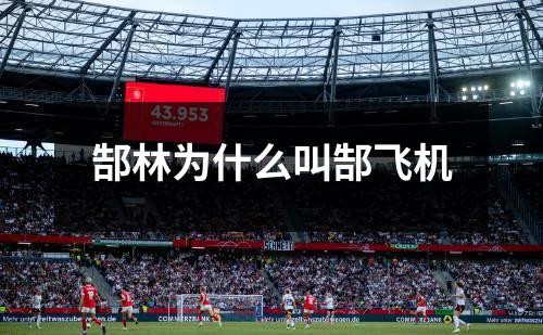 郜林为什么叫郜飞机