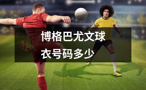 博格巴尤文球衣号码多少