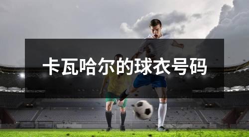 卡瓦哈尔的球衣号码