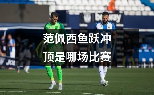 范佩西鱼跃冲顶是哪场比赛