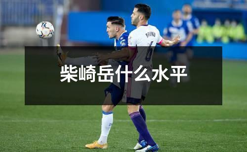 柴崎岳什么水平