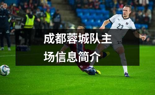 成都蓉城队主场信息简介