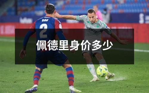佩德里身价多少
