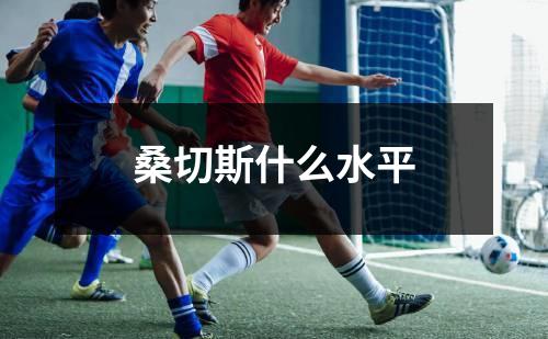 桑切斯什么水平