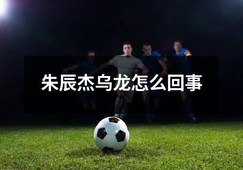 朱辰杰乌龙怎么回事