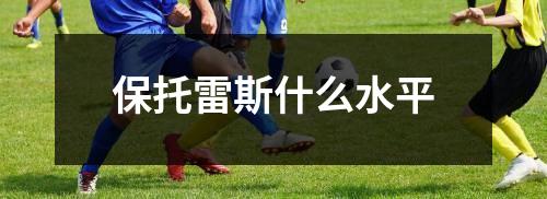 保托雷斯什么水平