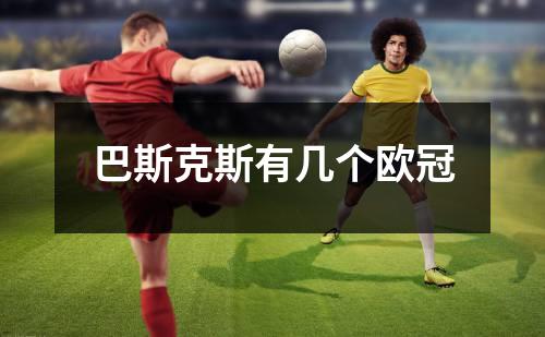 巴斯克斯有几个欧冠