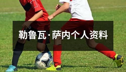勒鲁瓦·萨内个人资料