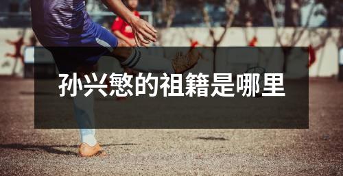 孙兴慜的祖籍是哪里