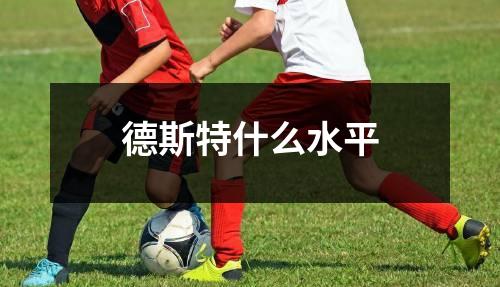 德斯特什么水平