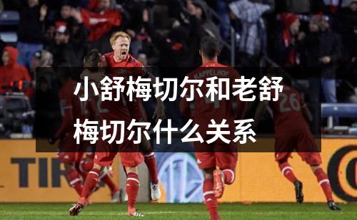 小舒梅切尔和老舒梅切尔什么关系