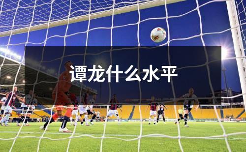 谭龙什么水平