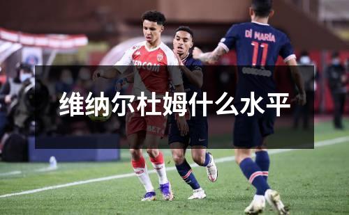 维纳尔杜姆什么水平
