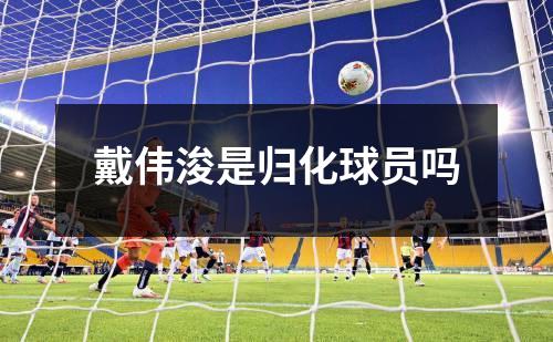 戴伟浚是归化球员吗