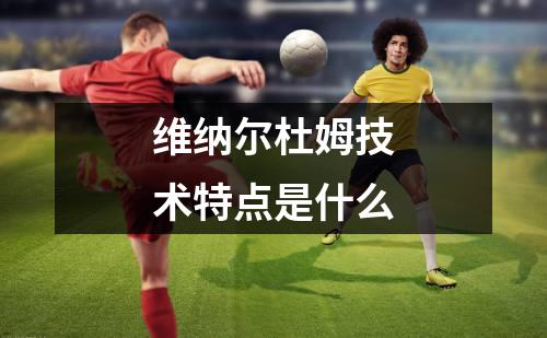 维纳尔杜姆技术特点是什么