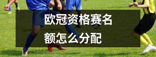欧冠资格赛名额怎么分配